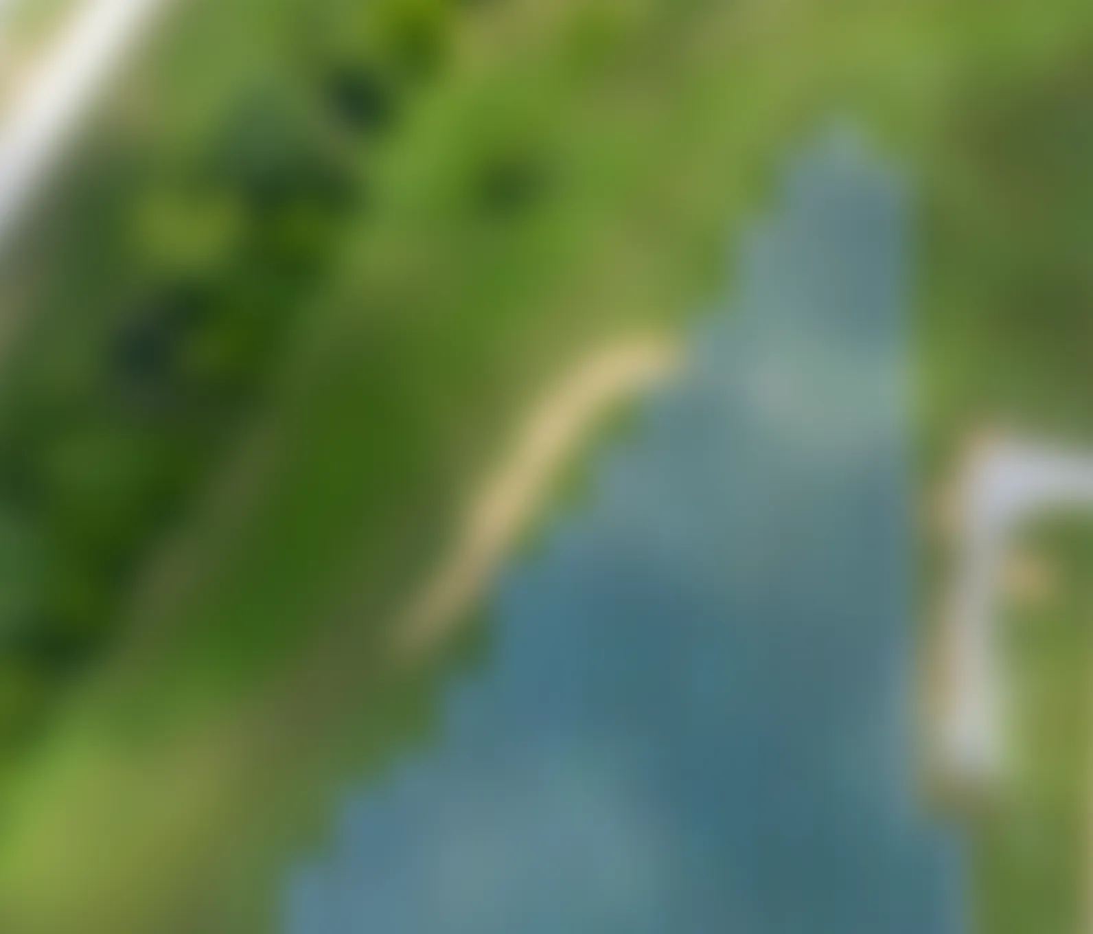 AI-Powered Platforms